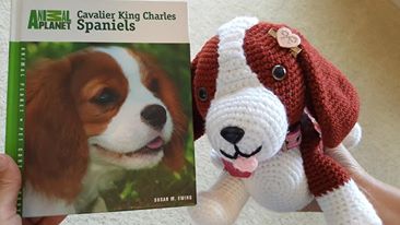 18341659_609383519250633_3211330586636127895_n