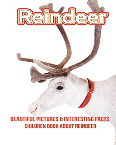 Reindeerbook.jpg