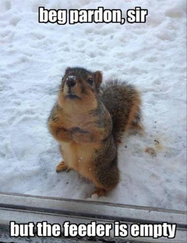 33379051_767262680129382_3070909820027535360_n