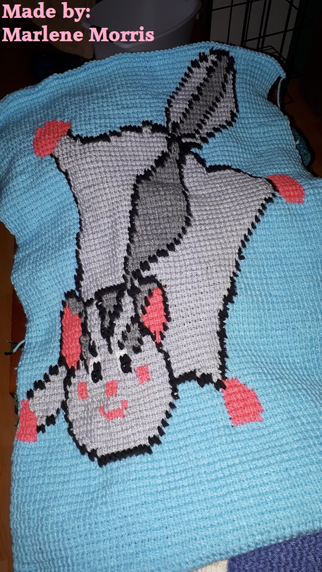 Marlene Morris Sugar Glider Australian Wildlife